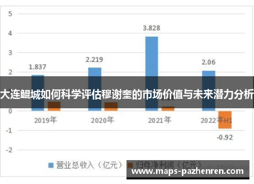 大连鲲城如何科学评估穆谢奎的市场价值与未来潜力分析