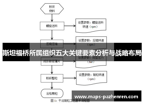 斯坦福桥所属组织五大关键要素分析与战略布局