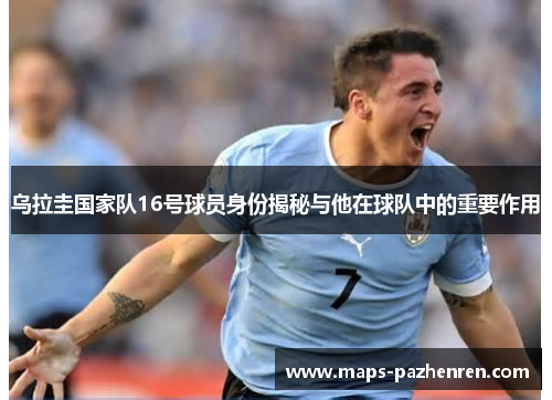 乌拉圭国家队16号球员身份揭秘与他在球队中的重要作用