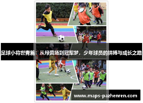足球小将世青篇：从绿茵场到冠军梦，少年球员的拼搏与成长之路