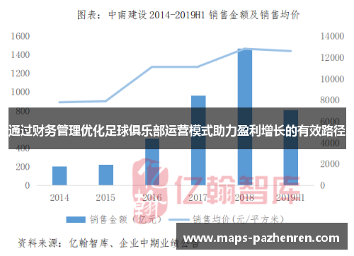 通过财务管理优化足球俱乐部运营模式助力盈利增长的有效路径