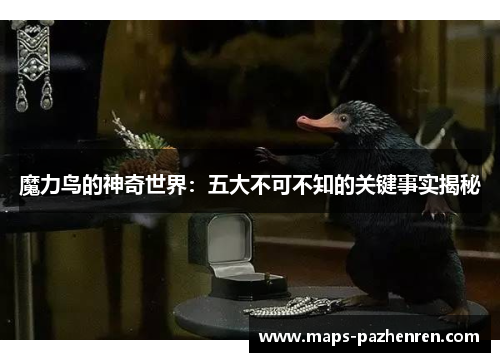 魔力鸟的神奇世界：五大不可不知的关键事实揭秘